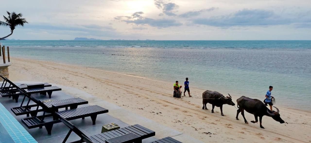 Mimosa Resort & Spa Ko Samui Exterior foto